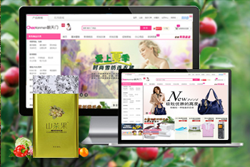 ��¡�������̳�