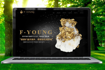 ��¡�������ﱦʯ